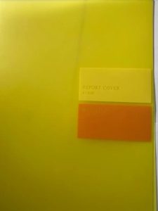 Папка А4 Скоросшив 0,4мм «Пастель» цв