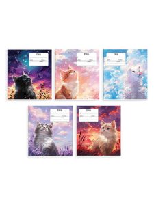 Тетрадь 24л клетка Мечты кота 10шт