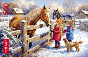 Пазлы 500эл Снежное утро