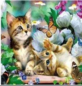 Алмазная мозаика 30х30см Котята