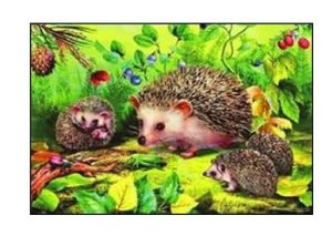 Алмазная мозаика 30х40см Семья ежей