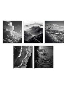 Тетрадь 96л клетка Сила природы 5шт/5 дизайнов