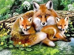 Алмазная мозаика 40х50см Семейство лис