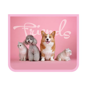 Папка А5 молния сверху 23х19х5см КОШКИ И СОБАКИ 2023